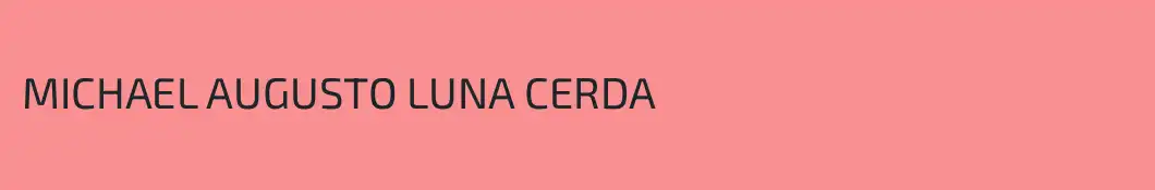 MICHAEL AUGUSTO LUNA CERDA